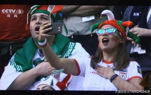 吃瓜群众娱乐版下载,下载背后的精彩故事